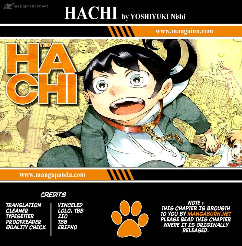 Hachi 5 20