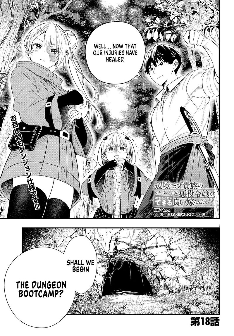 Henkyo Mob Kizoku No Uchi Ni Totsuidekita Akuyaku Reijo Ga Mechakucha Dekiru Yoi Yome Nanda Ga 18 2