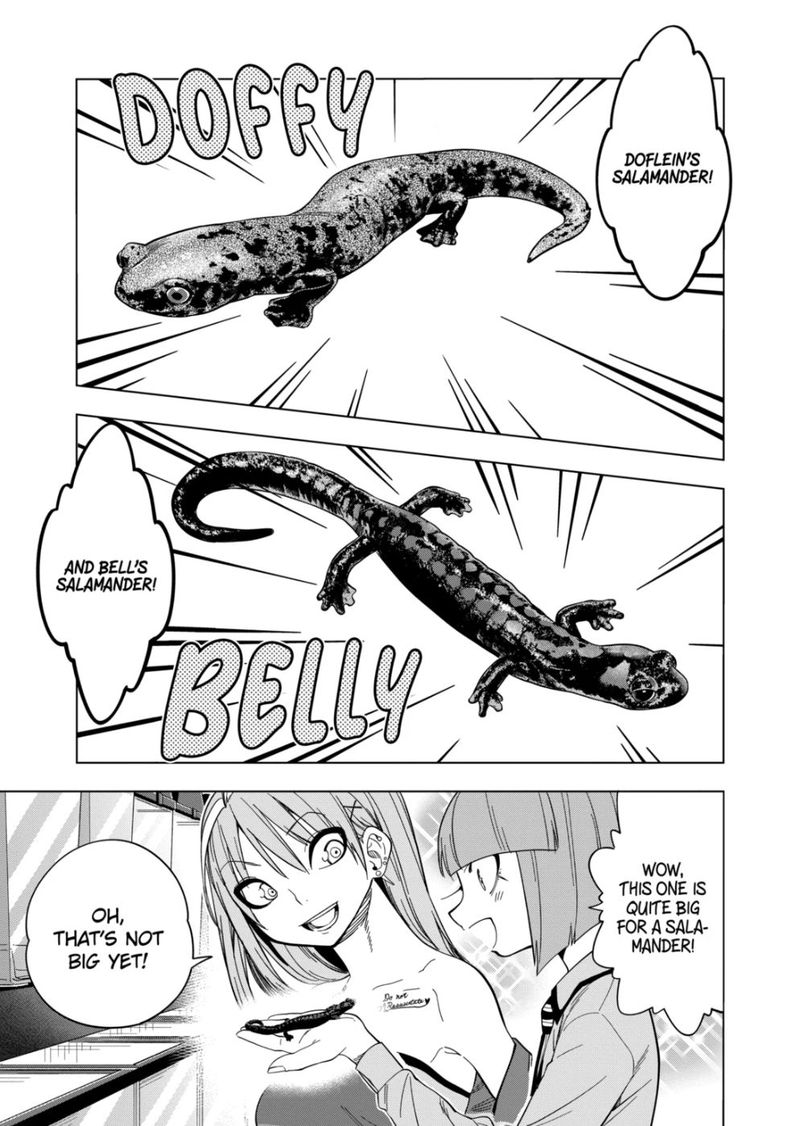 Himitsu No Reptiles 101 5