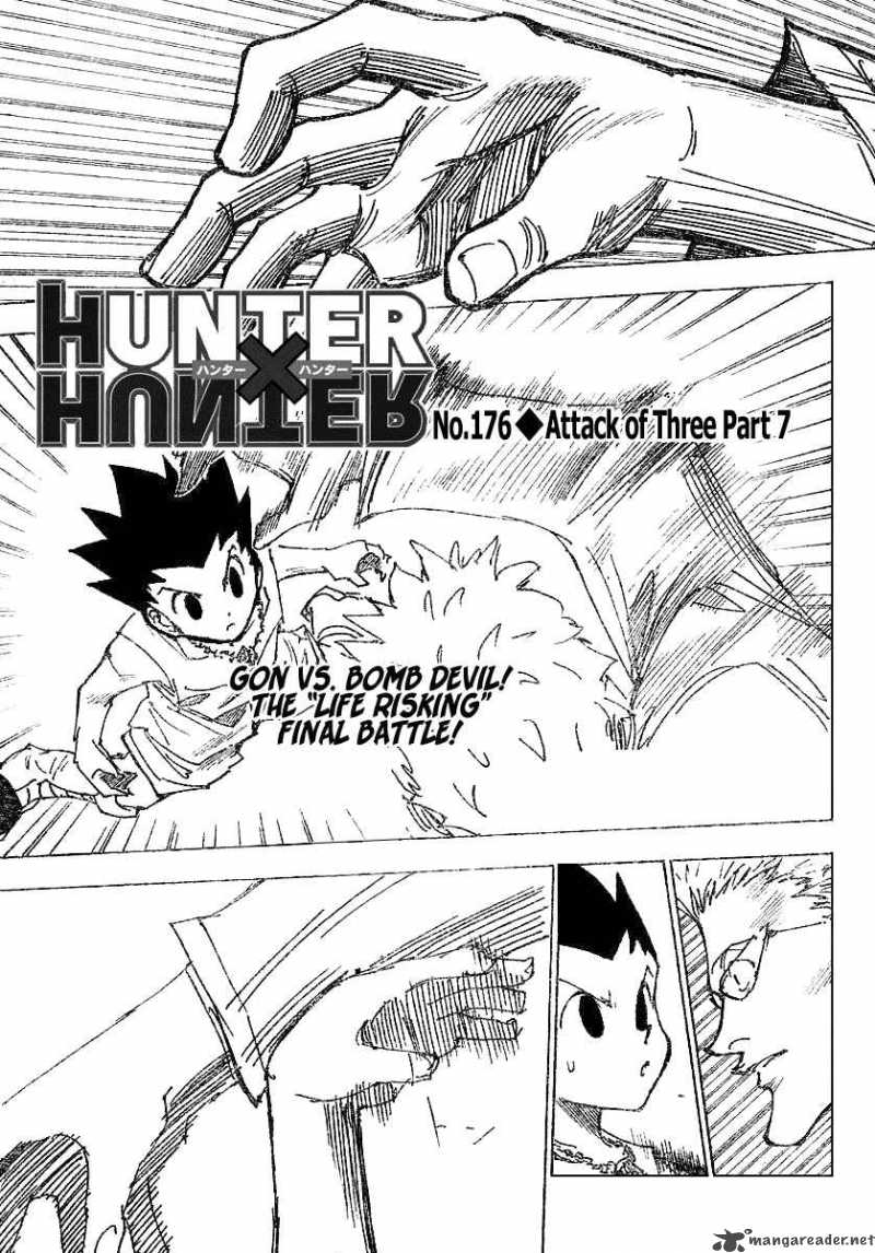 Hunter X Hunter 176 1