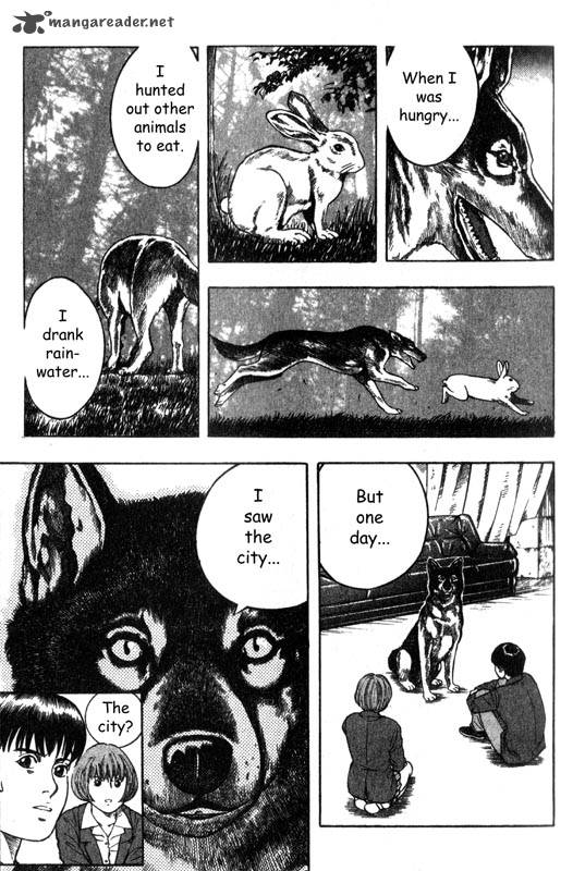 Inugami 1 164