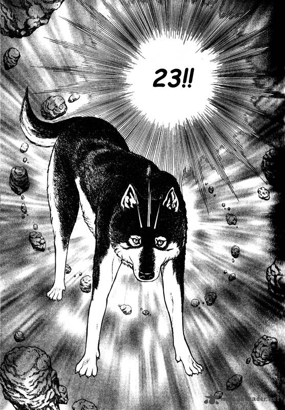 Inugami 14 51