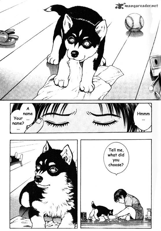 Inugami 9 150