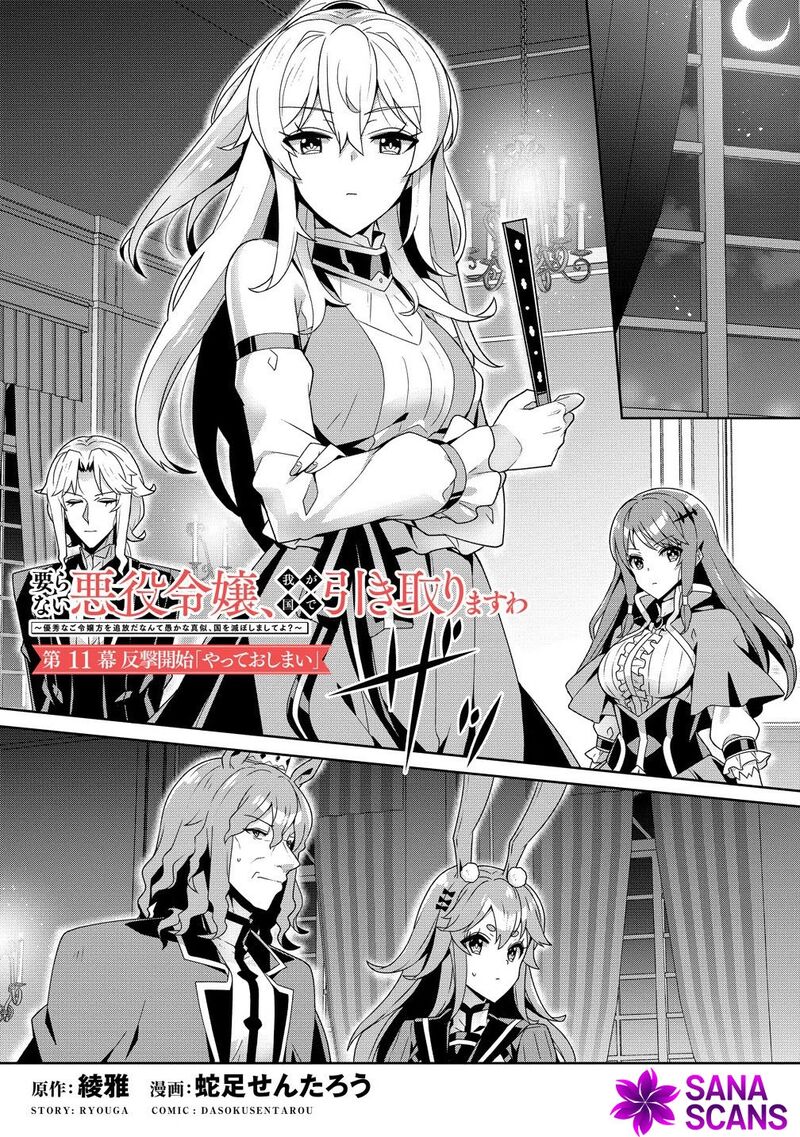 Iranai Akuyaku Reijou Waga Kuni De Hikitorimasu Wa 11 2