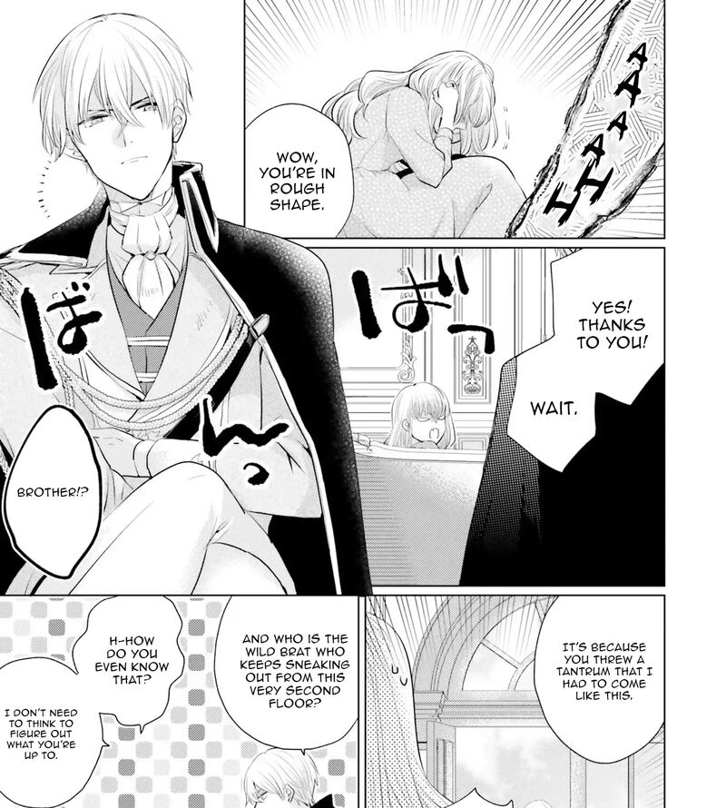 Isekai Kara Seijo Ga Kuru You Na No De Jamamono Wa Kieyou To Omoimasu 8 17