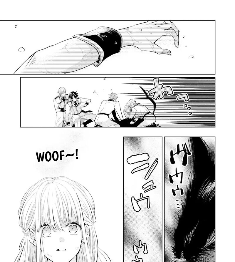 Isekai Kara Seijo Ga Kuru You Na No De Jamamono Wa Kieyou To Omoimasu 8 9