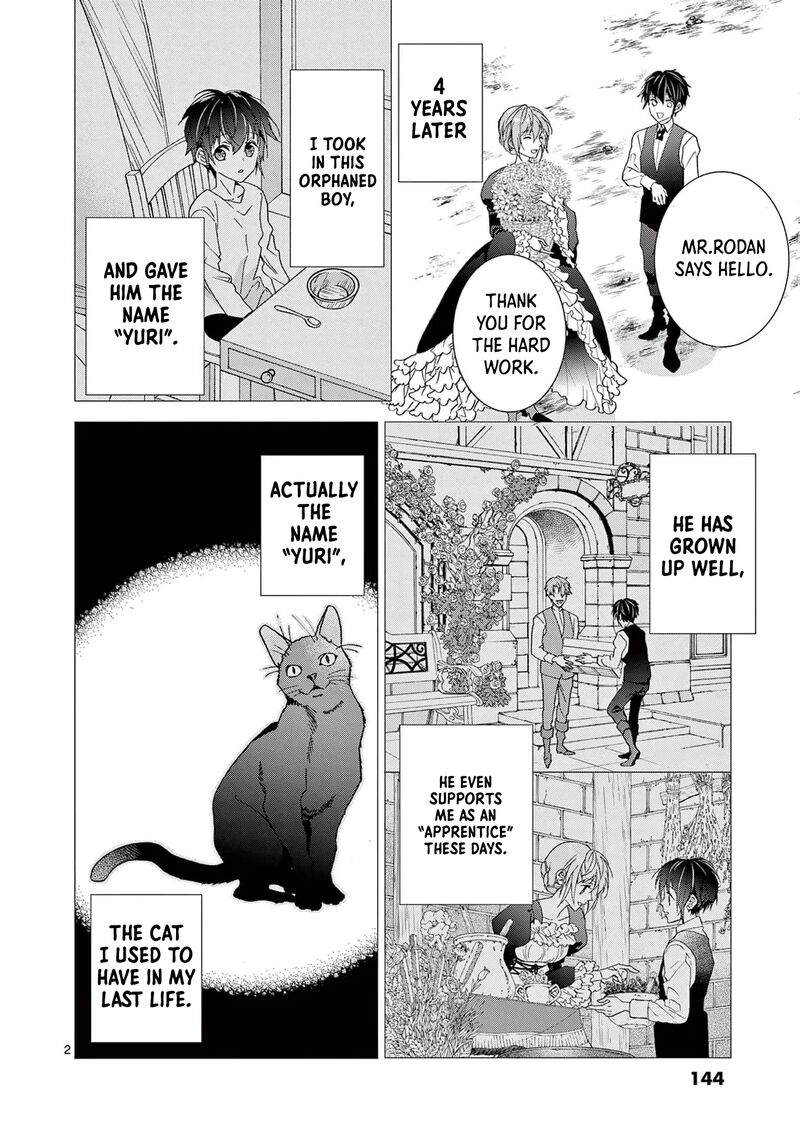 Isekai Tensei Shite Majo Ni Natta No Slow Life O Okuritai Noni Maou Ga Nigashite Kuremasen 5 3