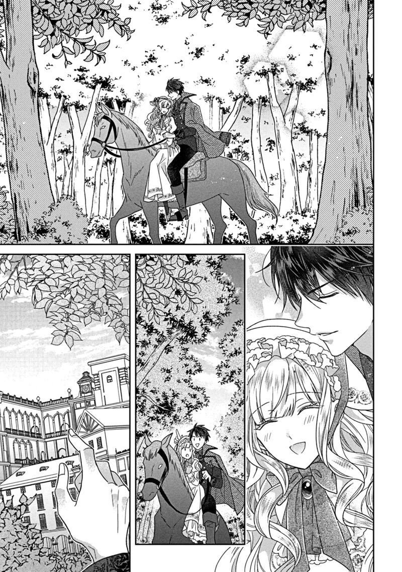 Itsuwari No Akujo Desuga Suenagaku Shiawase Ni Narimashou Onozomi No Koiooki Onna O Enjiteiru Noni Otto No Yousu Ga OkashII 9 12