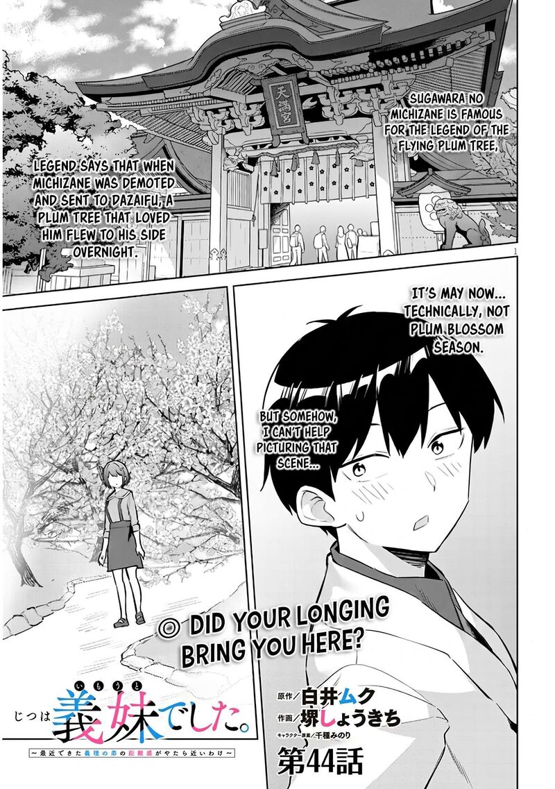 Jitsu Wa Imouto Deshita 44 2