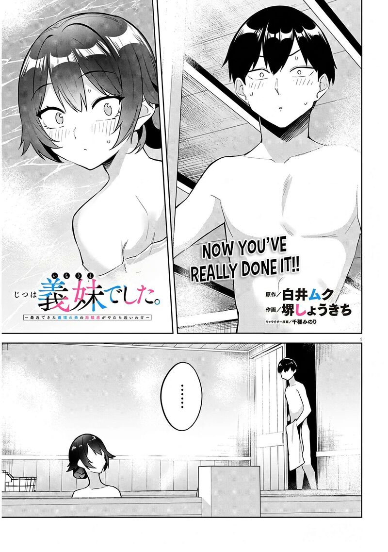 Jitsu Wa Imouto Deshita 45 2