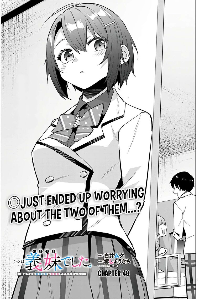 Jitsu Wa Imouto Deshita 48 2