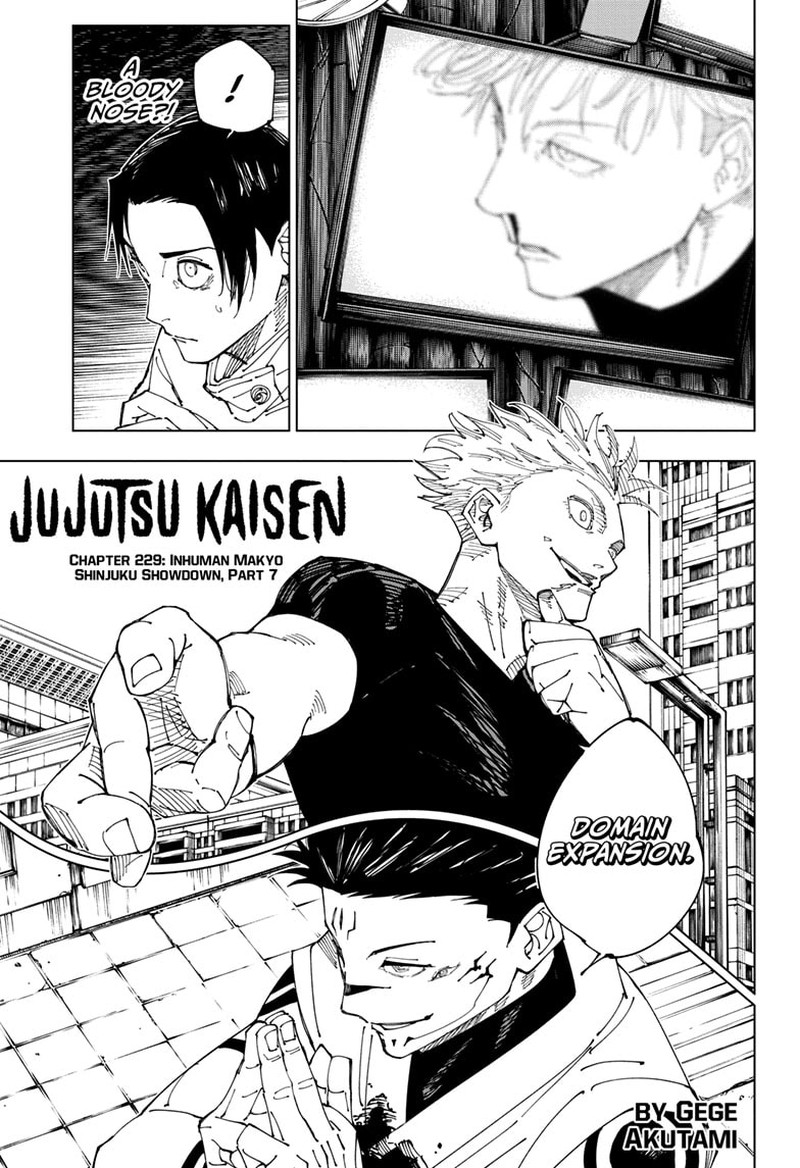 Jujutsu Kaisen 229 1