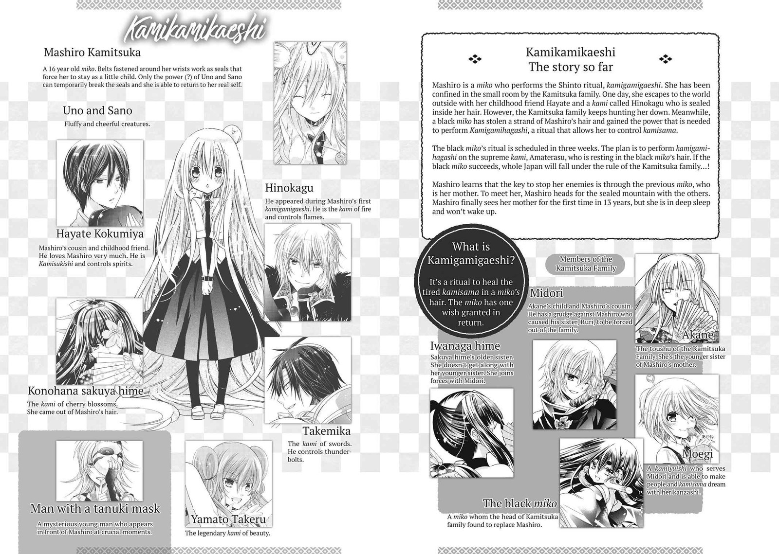 Kamikami Kaeshi 22 3