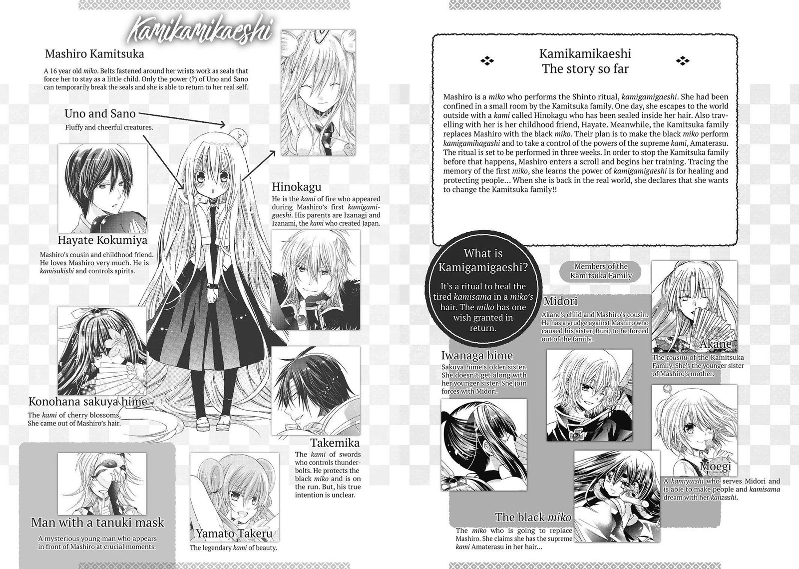 Kamikami Kaeshi 27 3