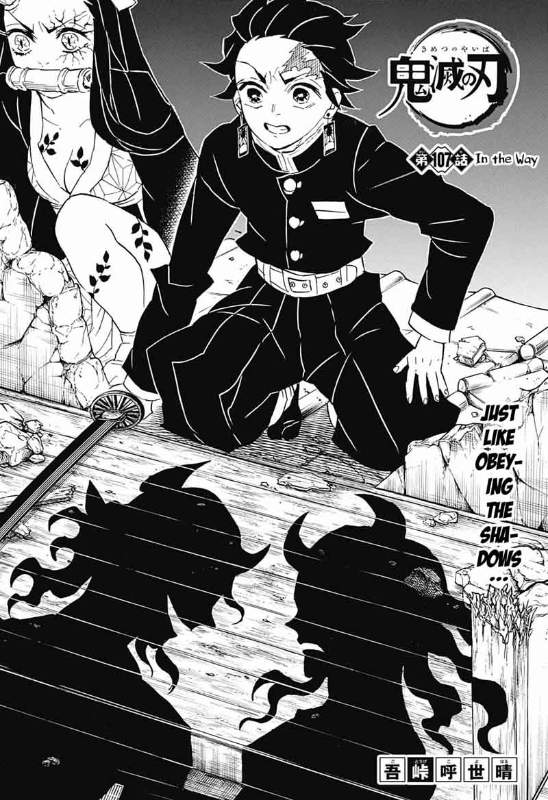 Kimetsu No Yaiba 107 1