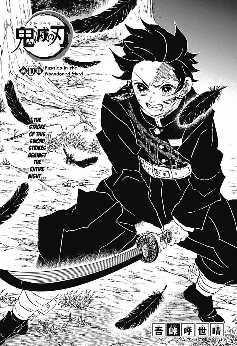 Kimetsu No Yaiba 110 1