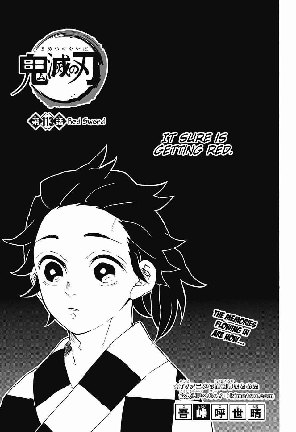 Kimetsu No Yaiba 113 1