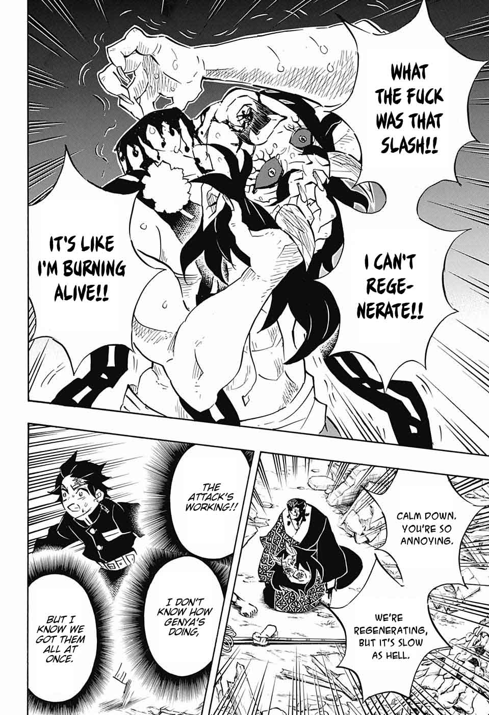 Kimetsu No Yaiba 113 13