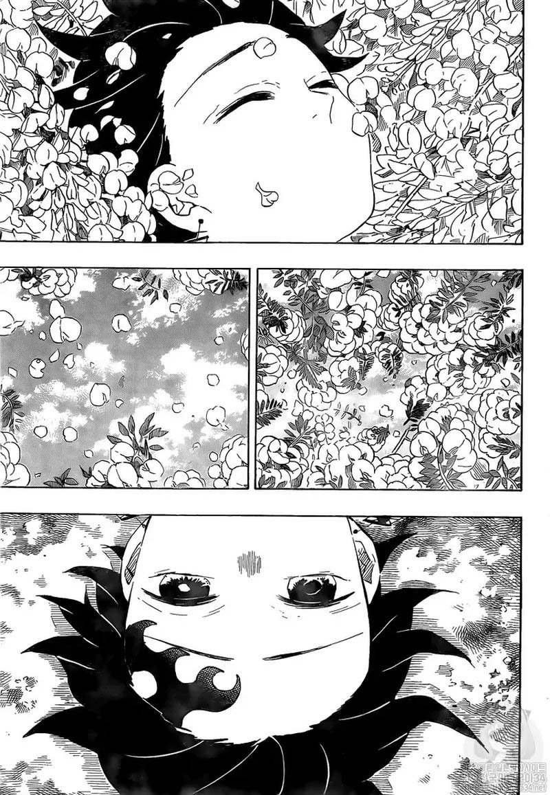 Kimetsu No Yaiba 203 14