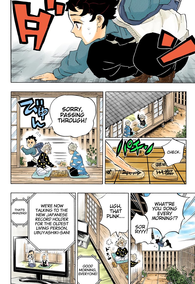 Kimetsu No Yaiba 205 12