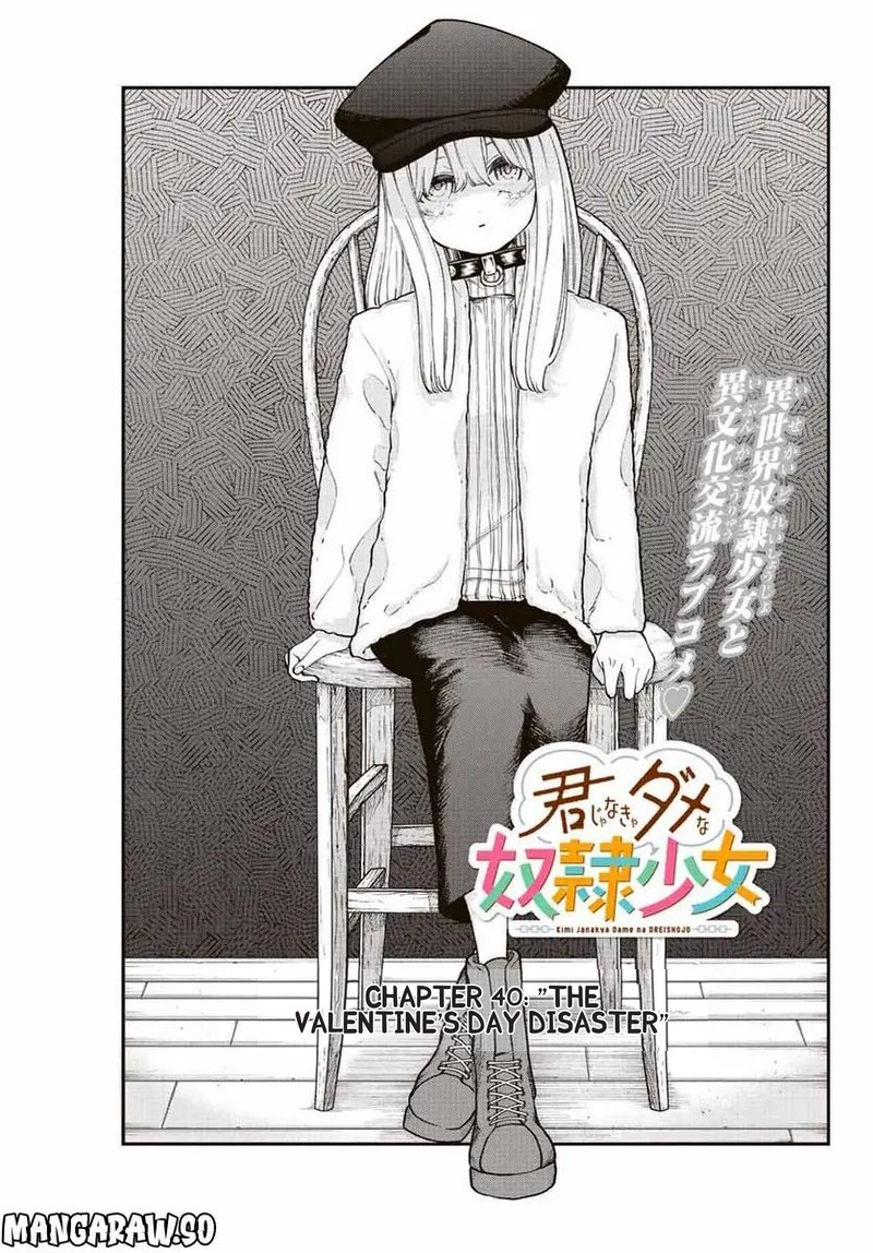 Kimi Janakya Dame Na Dorei Shoujo 40 3