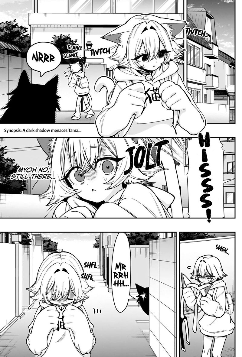 Kimi No Koto Ga Daidaidaidaidai Suki Na 100 Nin No Kanojo 253 2