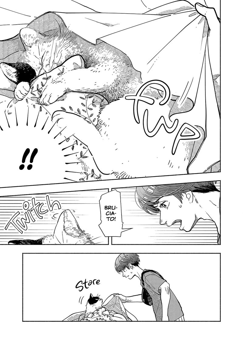 Kogareru Neko To Tomato 3 14