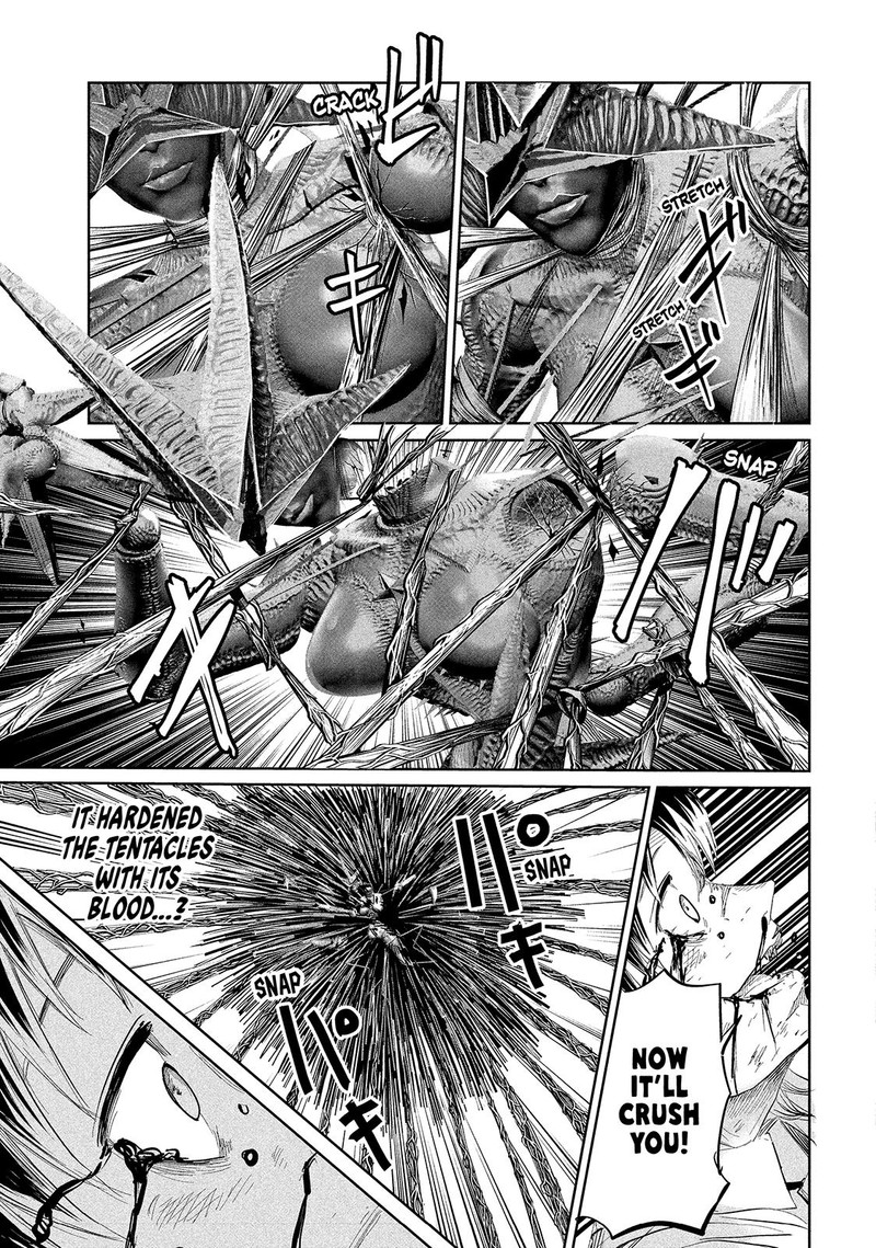 Lili Men 41 9