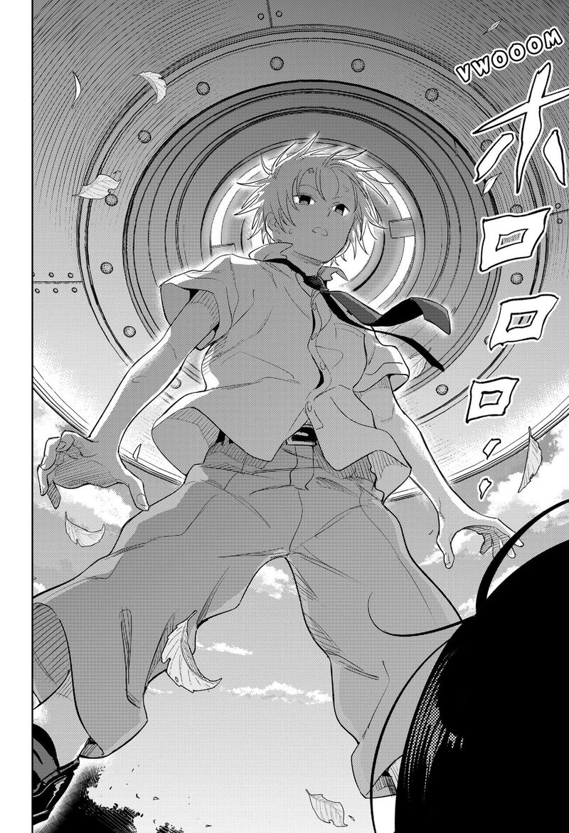 Lunatic Terrapop 35 16