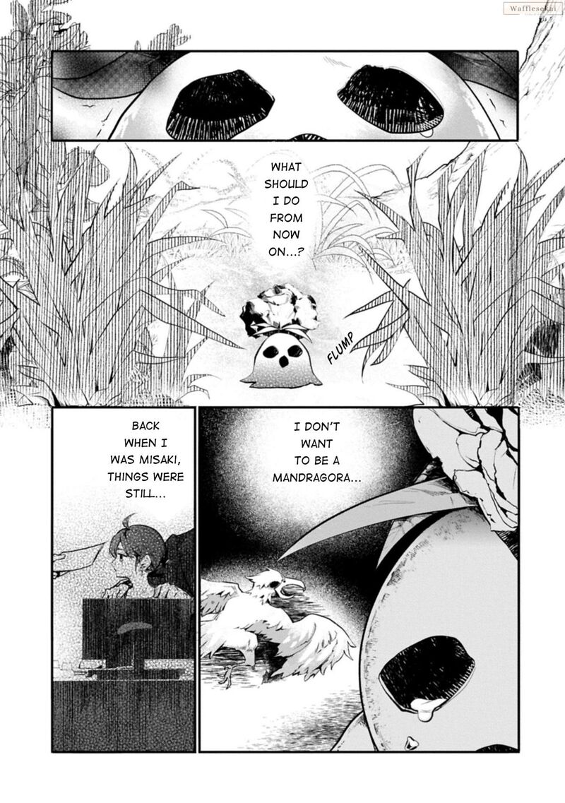 Mandragora Tte Baretara Toubatsu Desu Ka Hana No Majo No Hohoemi Wa Kanchigai No Tane O Maku 1 14