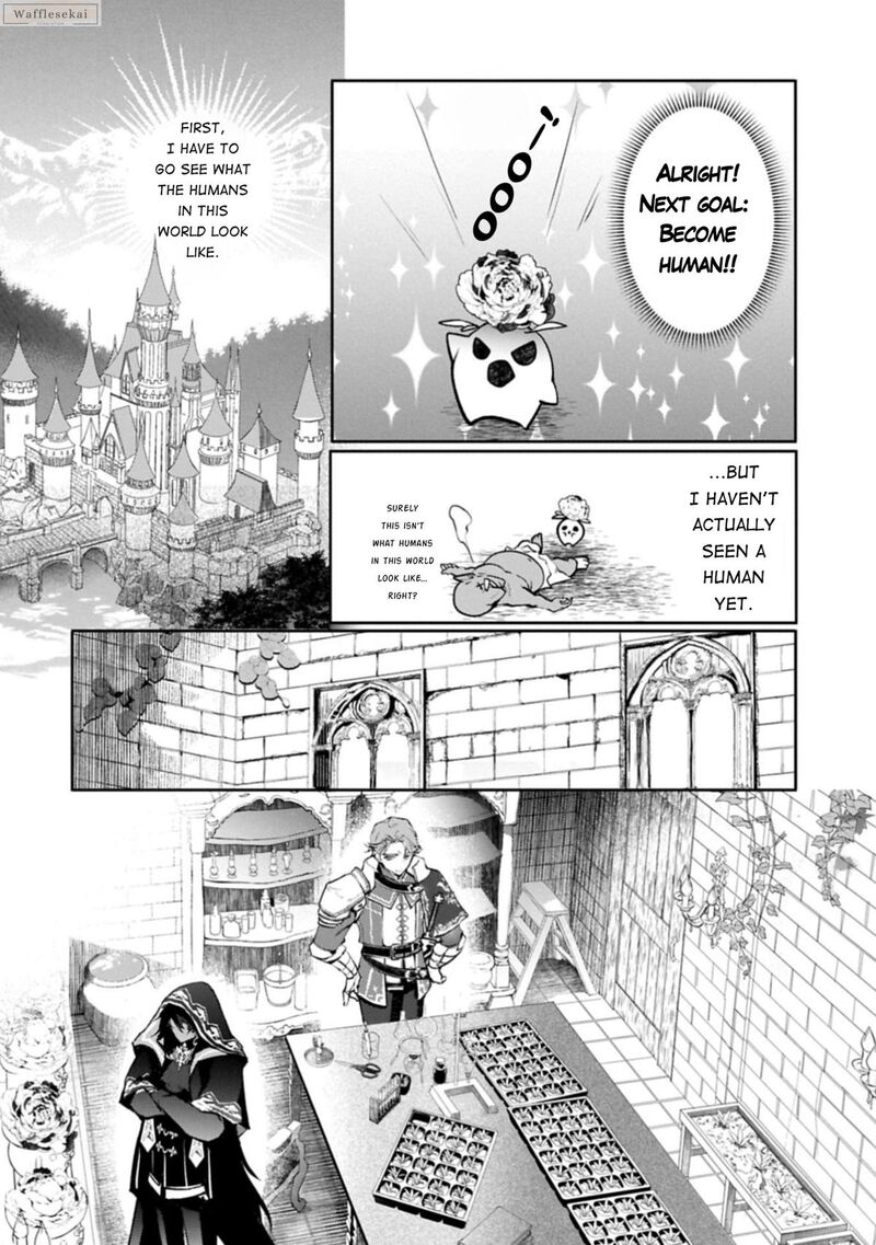 Mandragora Tte Baretara Toubatsu Desu Ka Hana No Majo No Hohoemi Wa Kanchigai No Tane O Maku 1 21