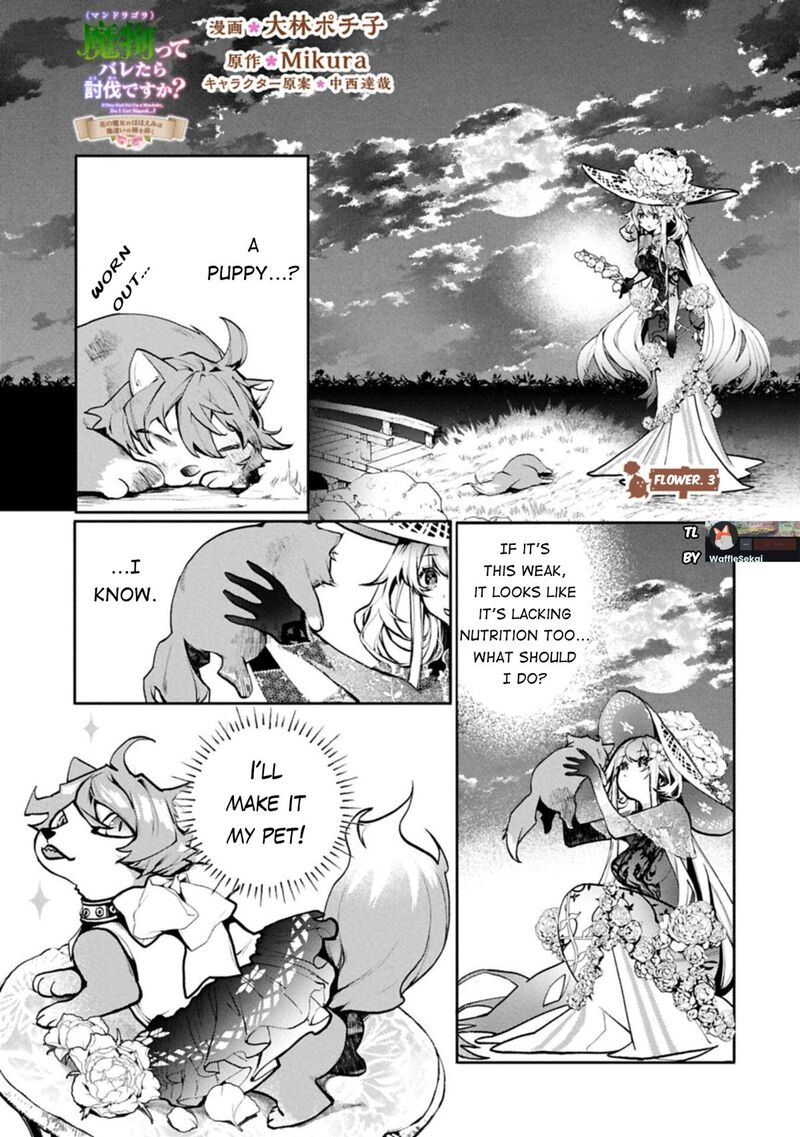 Mandragora Tte Baretara Toubatsu Desu Ka Hana No Majo No Hohoemi Wa Kanchigai No Tane O Maku 3 3