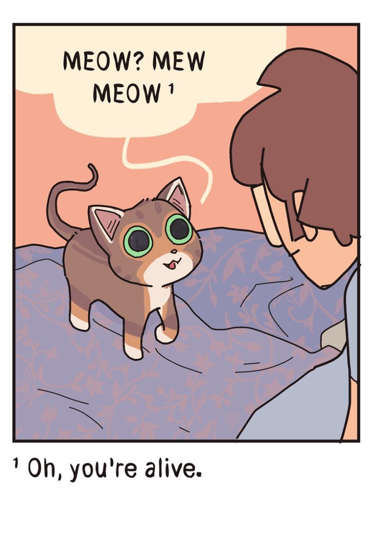 Mercworks 110 5