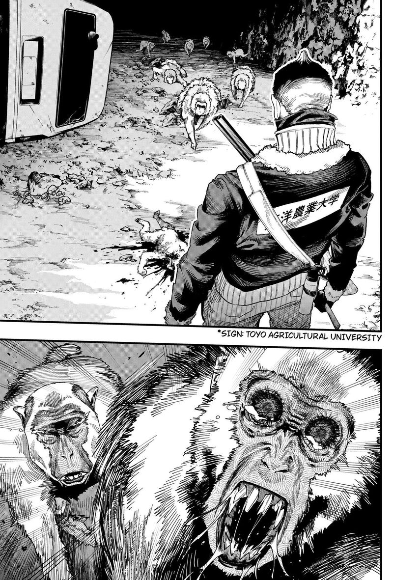 Monkey Hunting 9 3