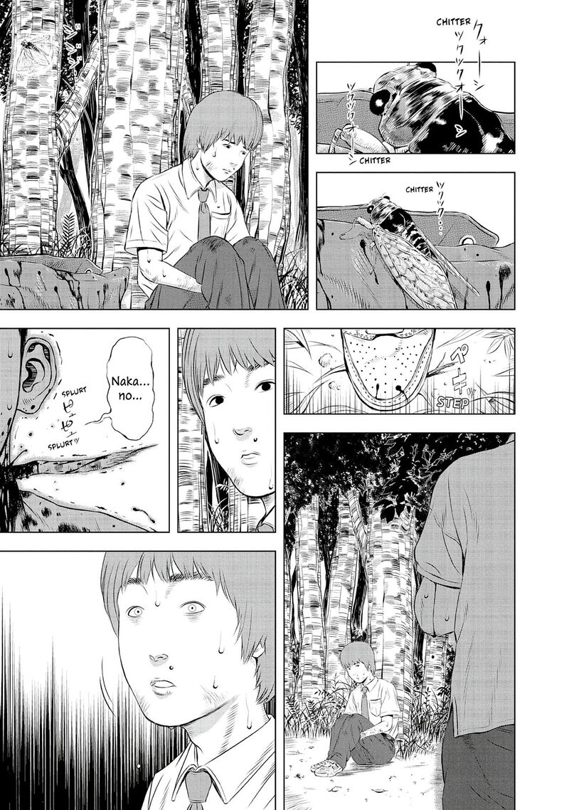 Museum The Serial Killer Is Laughing In The Rain 24e 45