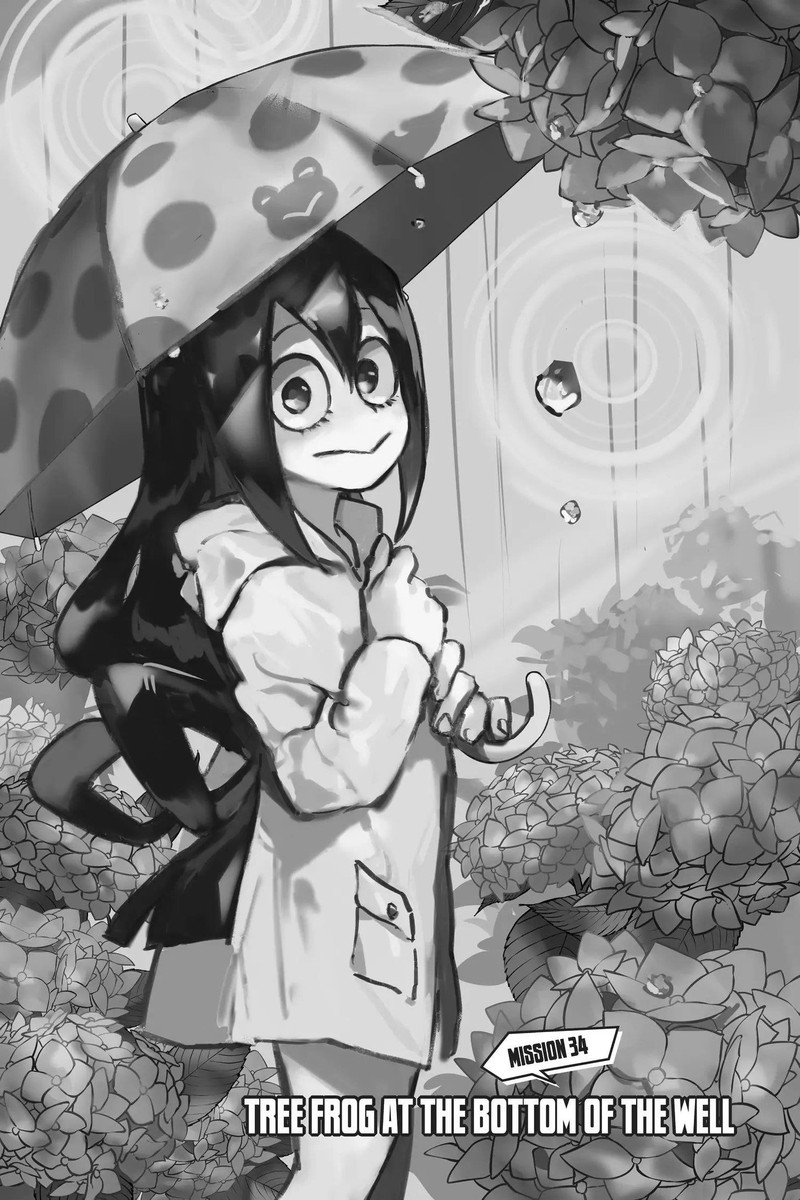 My Hero Academia Team Up Mission 34 1