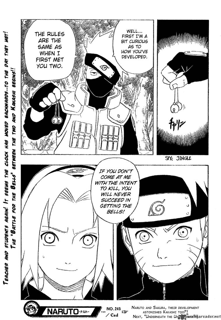 Naruto 245 19