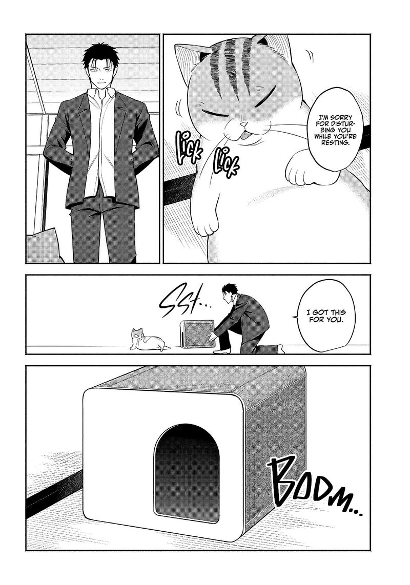 Neko Ga Gotoku 11 9