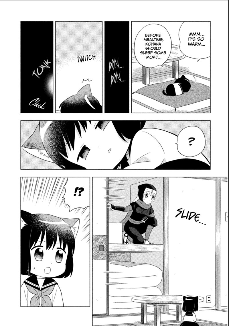 Neko No Kohana 12 4