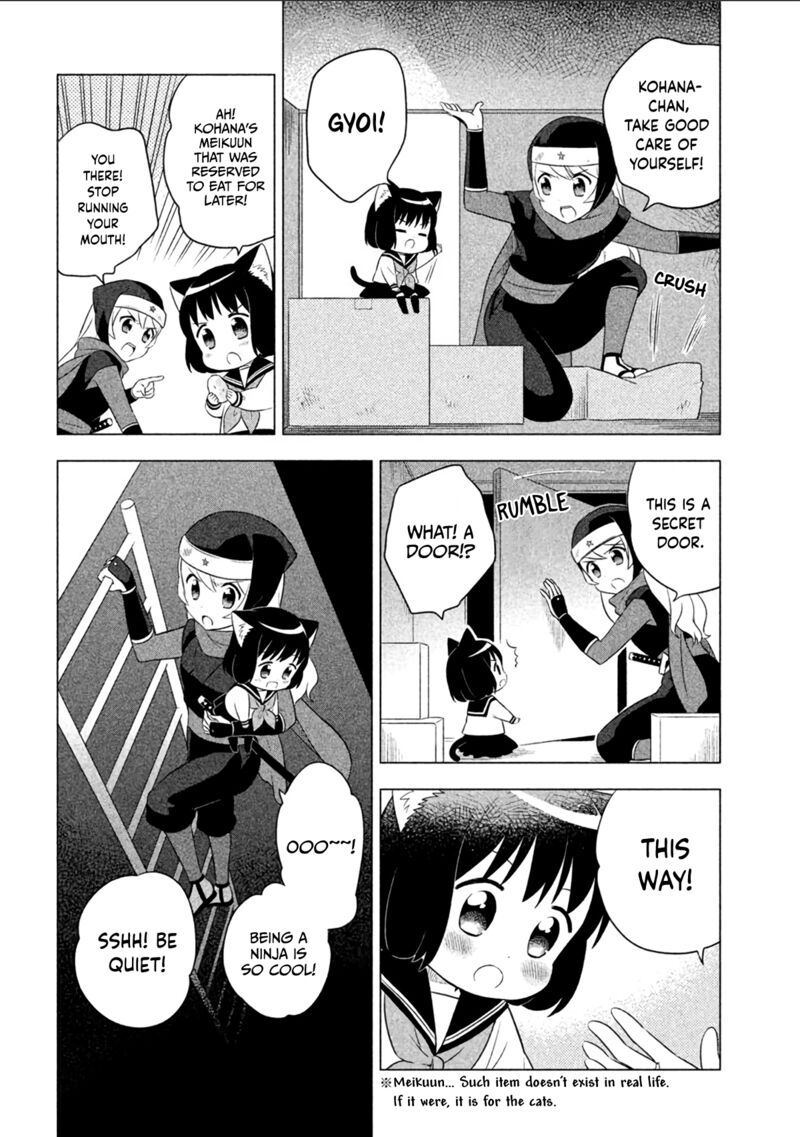 Neko No Kohana 12 7