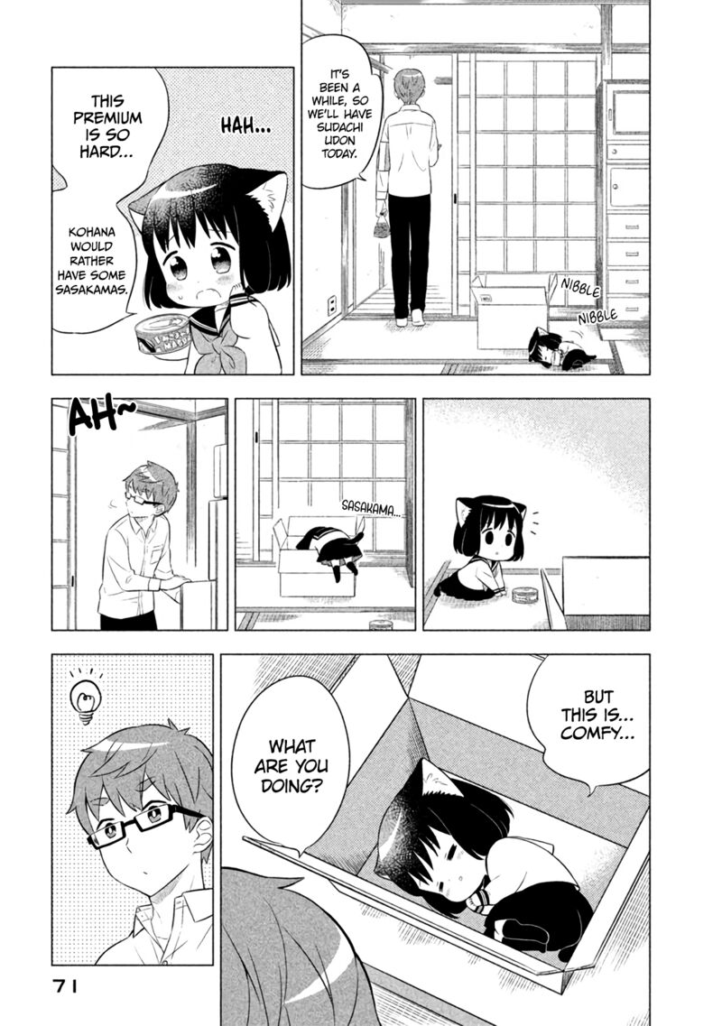 Neko No Kohana 15 3