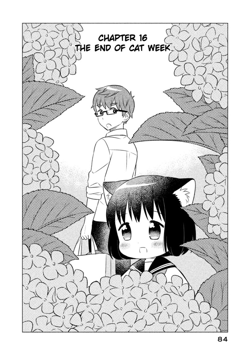 Neko No Kohana 16 2