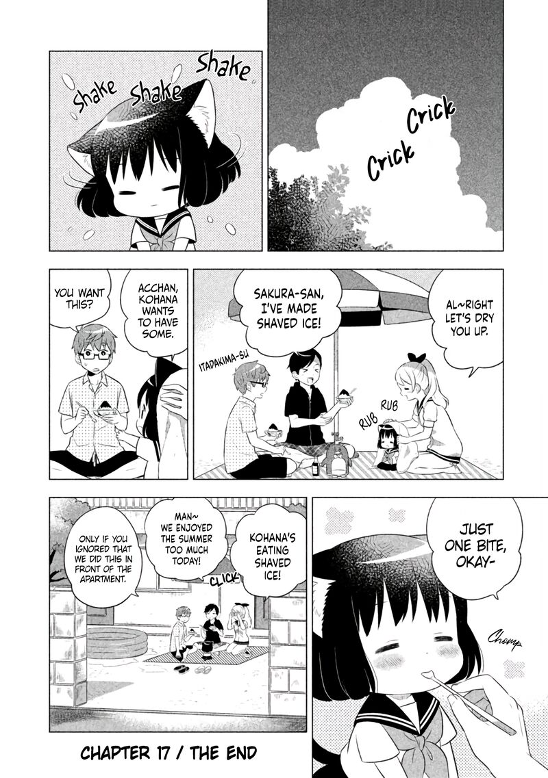 Neko No Kohana 17 12