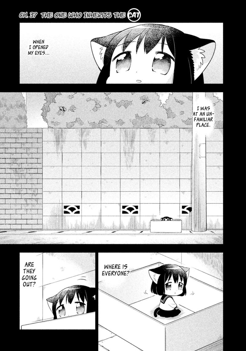 Neko No Kohana 37 1