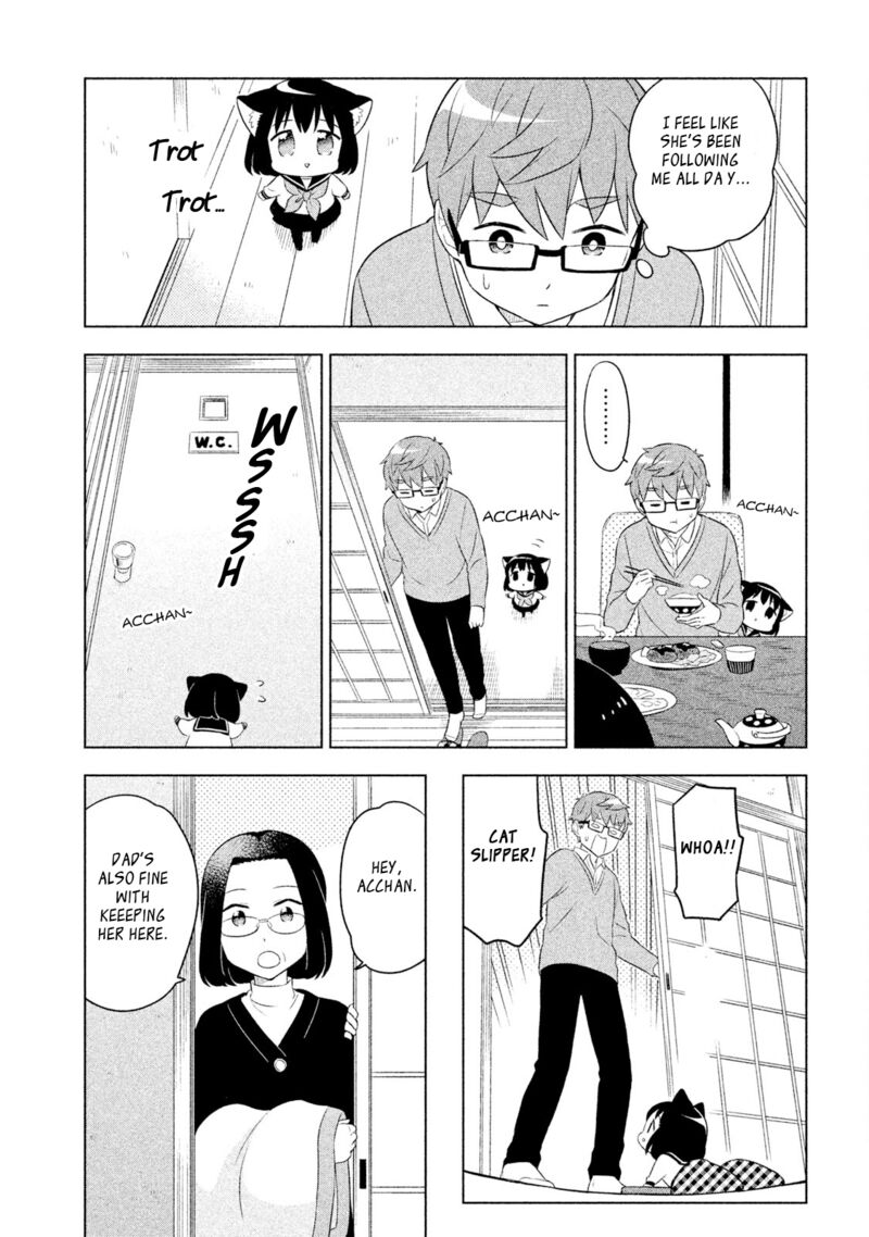 Neko No Kohana 37 12