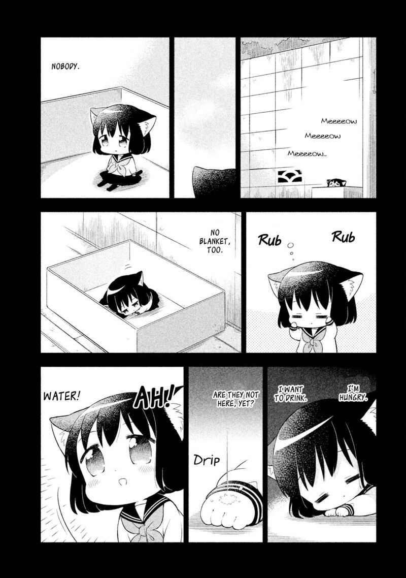 Neko No Kohana 37 2