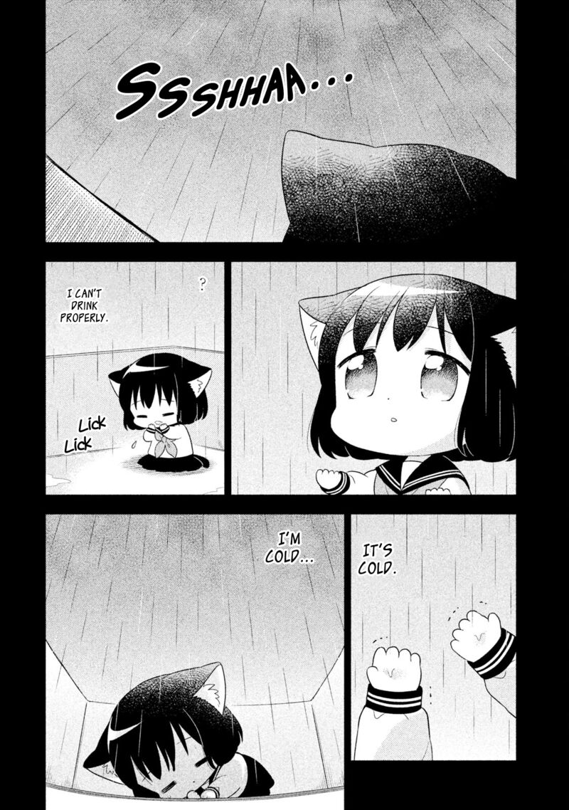 Neko No Kohana 37 3