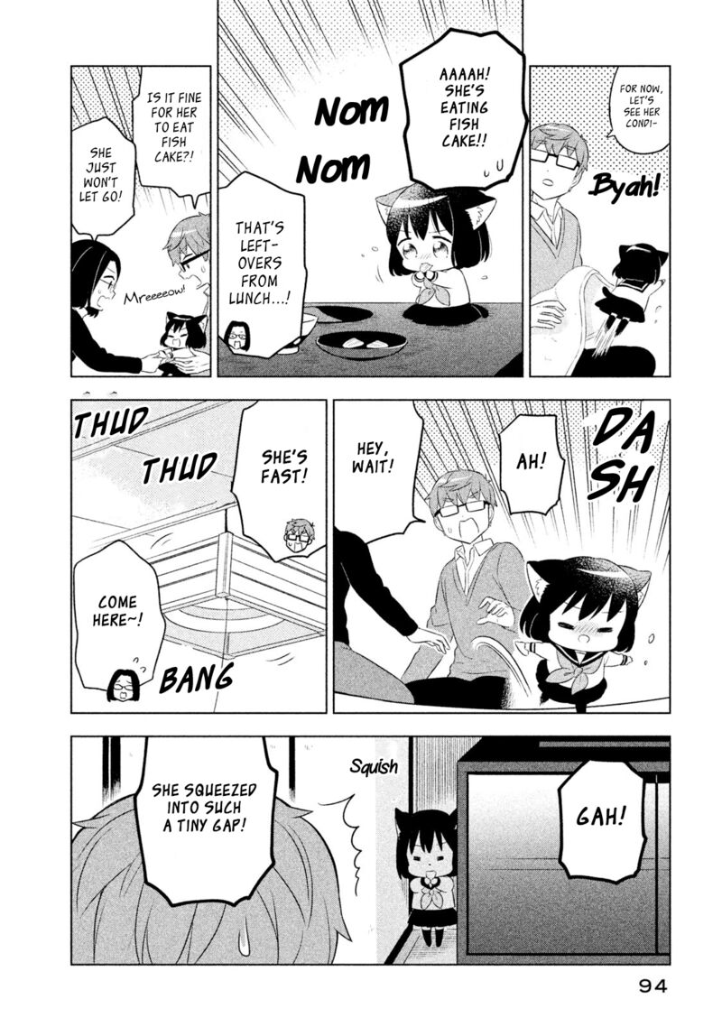 Neko No Kohana 37 8