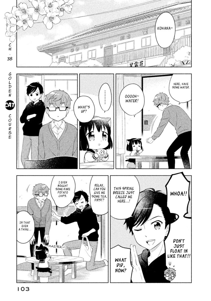 Neko No Kohana 38 1