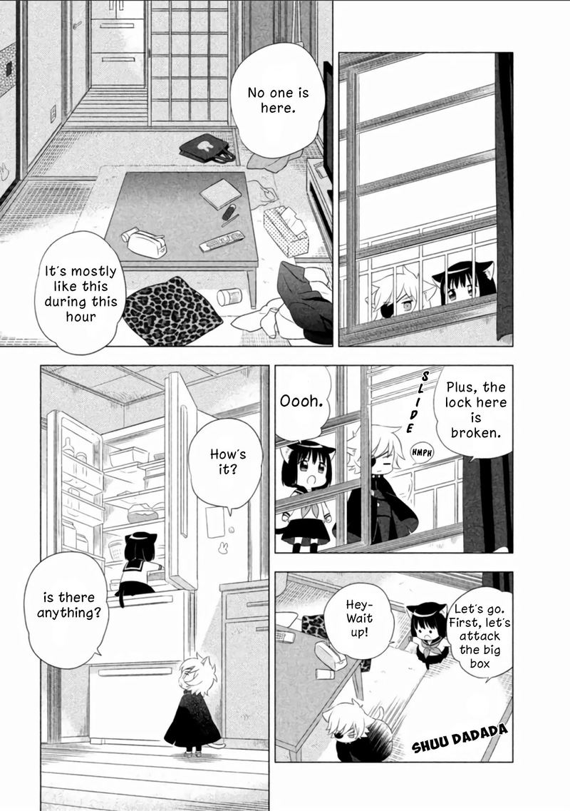 Neko No Kohana 4 7